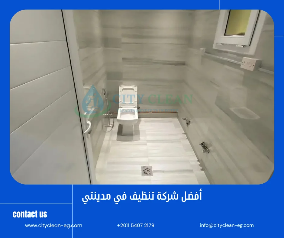 شركة تنظيف في مدينتي